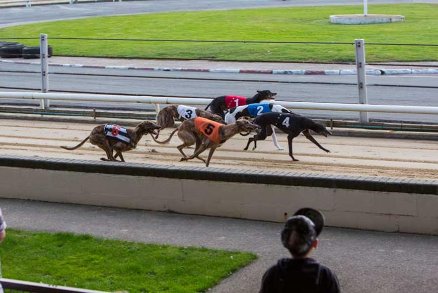 Horse Racing - Great Yarmouth