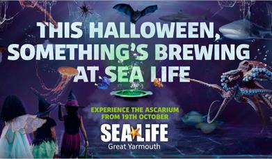 Ascarium Sea Life