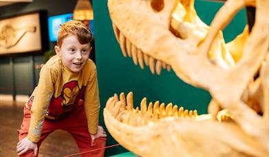 Young boy looking shocked into the mouth of a dinosaur skull.