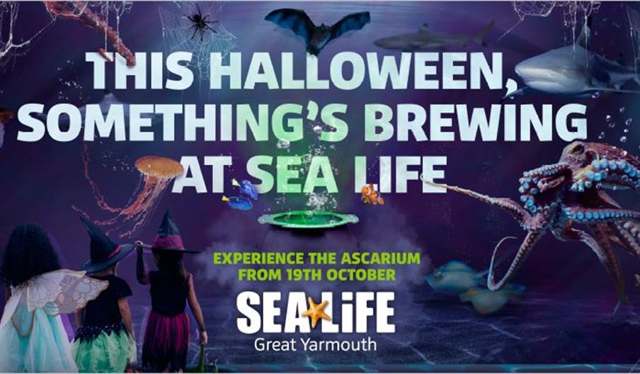 Ascarium Sea Life