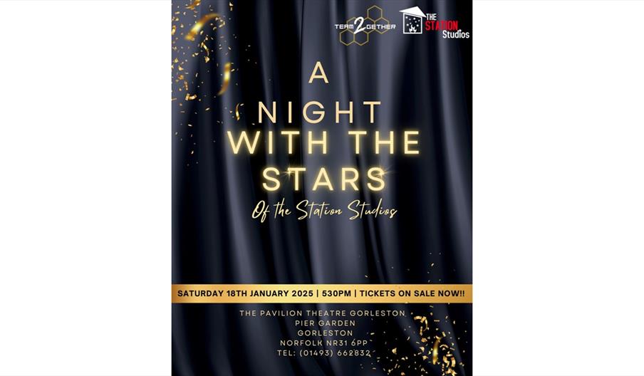 A Night with the Stars