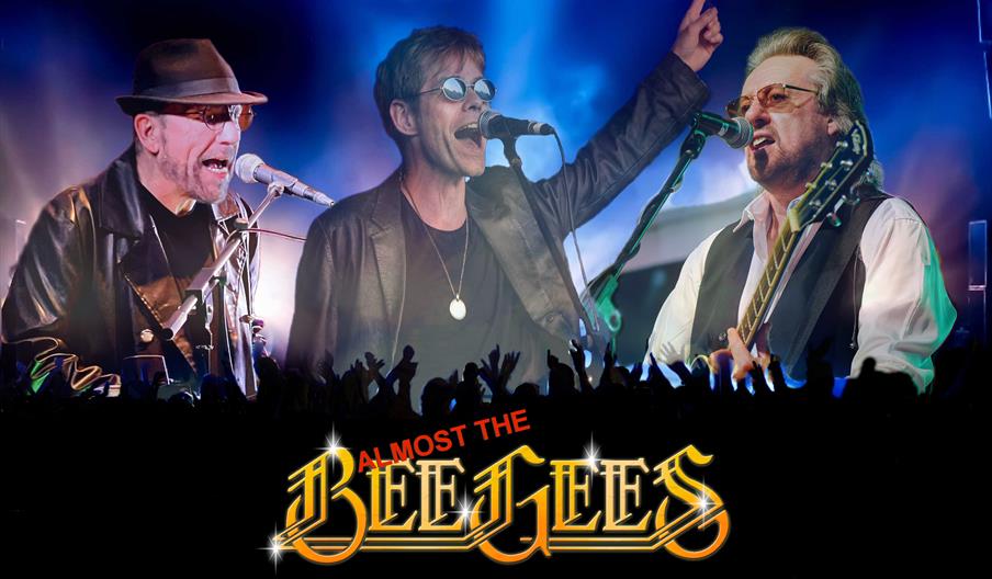 Almost the Bee Gees live!