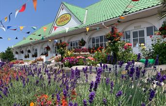 Sara's Tearooms In Bloom