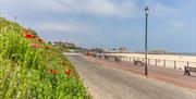 Gorleston Cliffs